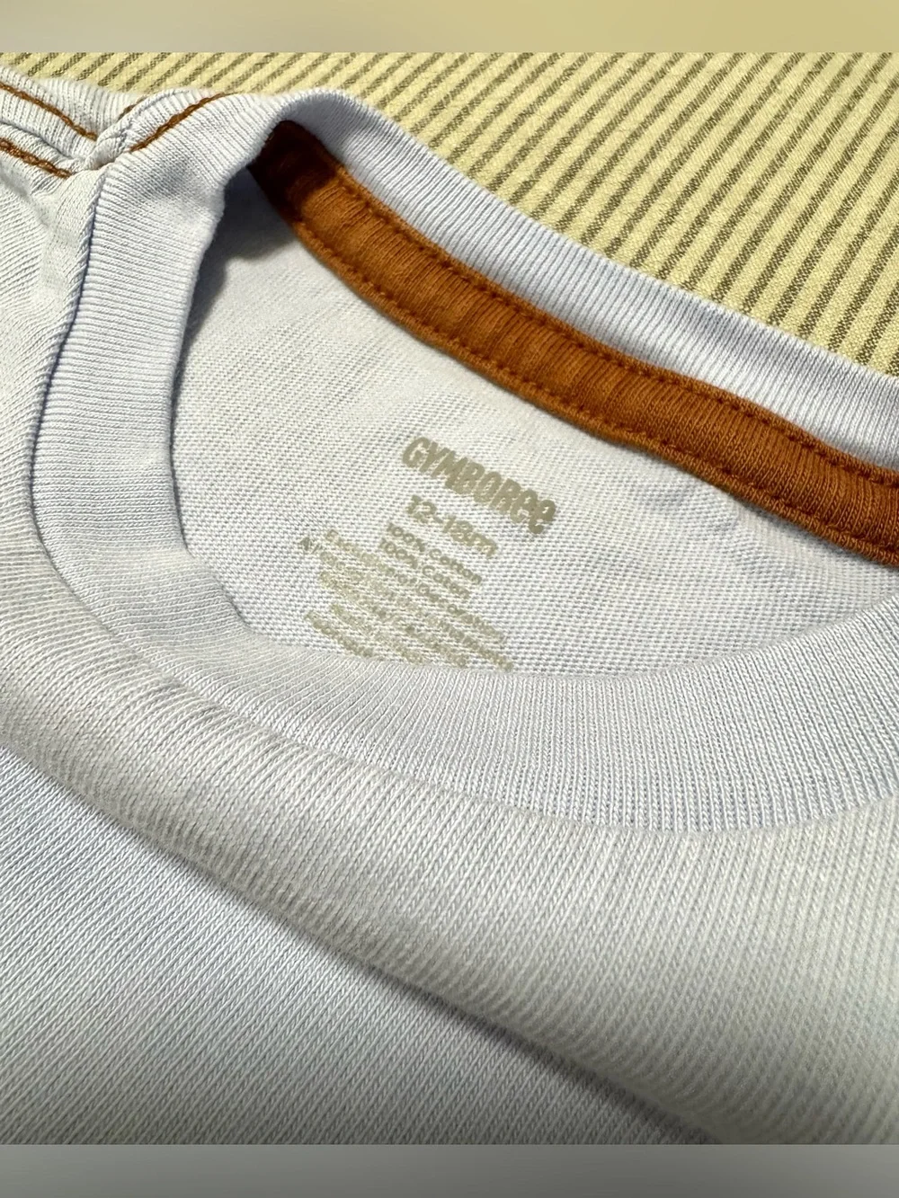 Gymboree Long-Sleeve Light Blue Buffalo Graphic Tee - Size: 12-18mo.
